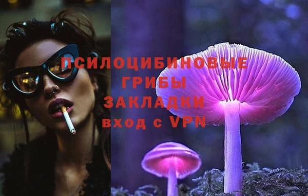 ПСИЛОЦИБИНОВЫЕ ГРИБЫ Навашино