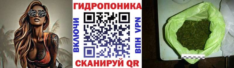 кракен зеркало  Ясногорск  darknet наркотические препараты  купить наркотик  Бошки Шишки марихуана 